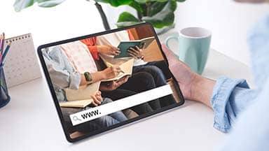 Iste velit sint elit